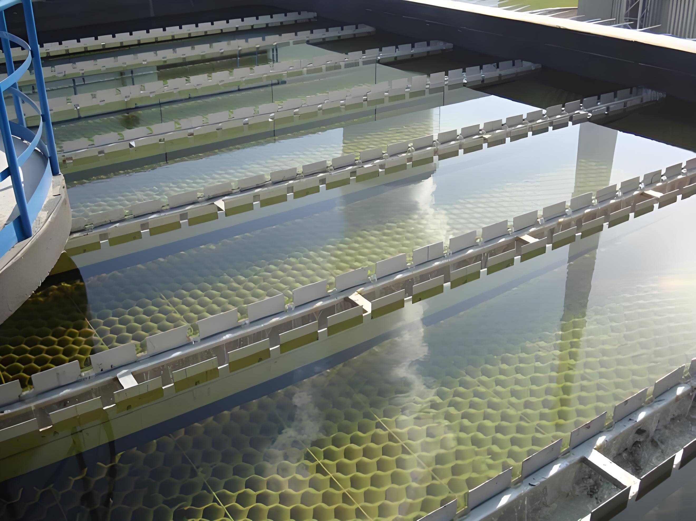 ee0bfcfe-3729-42b6-984c-5686a54706a6 ee0bfcfe-3729-42b6-984c-5686a54706a6