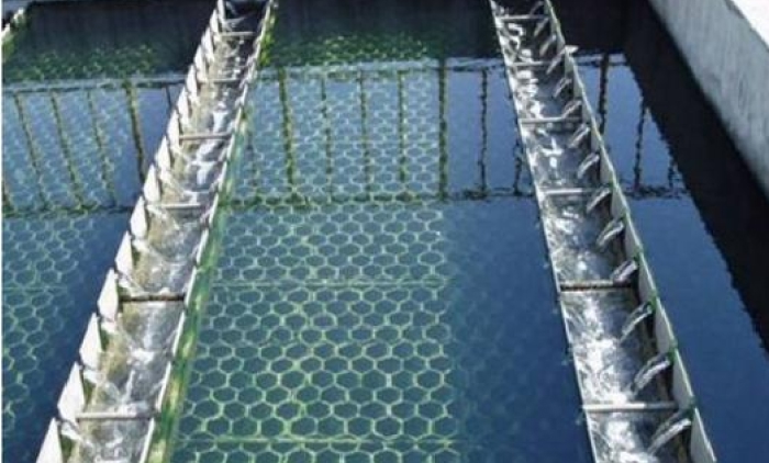 四川某污水处理厂高效沉淀池项目